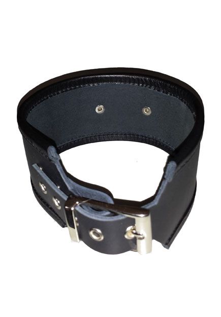 Black Leather Collar with 1 Ring