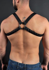 Shoulder Half-Harness