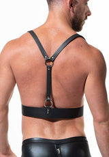 Half-Belt Harness