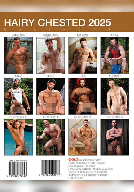 Calendrier COLT Hairy Chested Men 2025