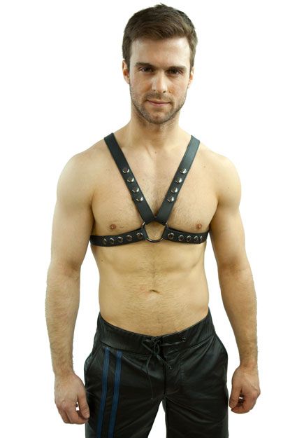 Hard Leather Half-Harness 1"