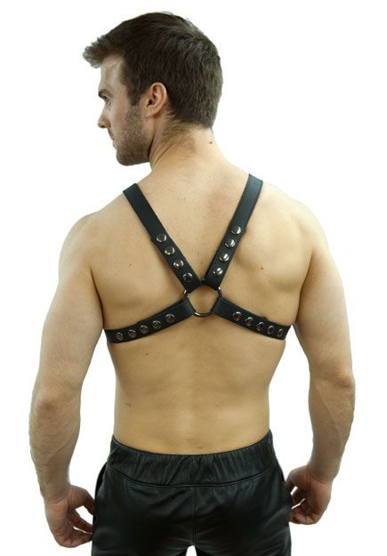 Hard Leather Half-Harness 1"