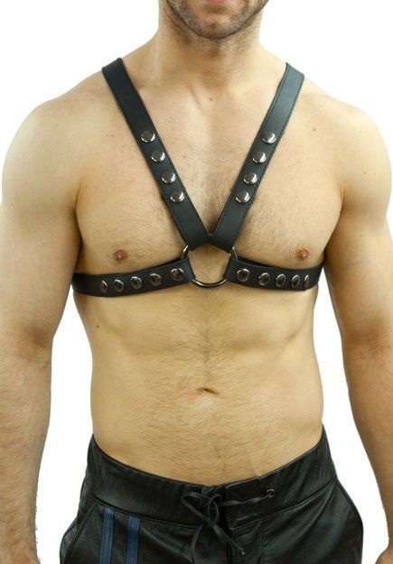 Hard Leather Half-Harness 1"