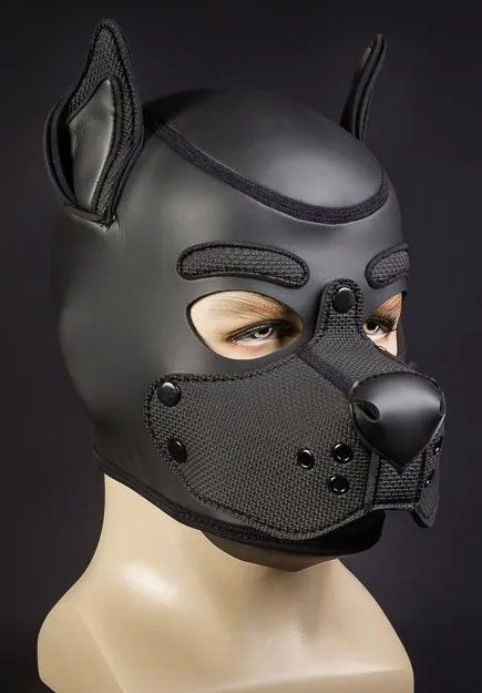 K9 Neoprene Hood