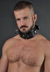 Neoprene Collar