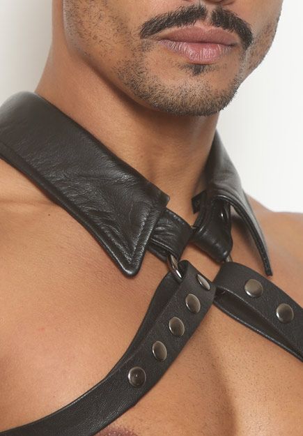 O-Ring Collar Half-Harness